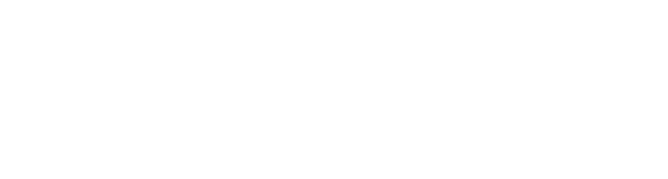 Sydney Bus and Coach